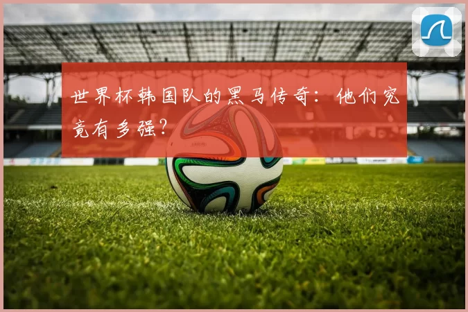 世界杯韩国队的黑马传奇:他们究竟有多强?