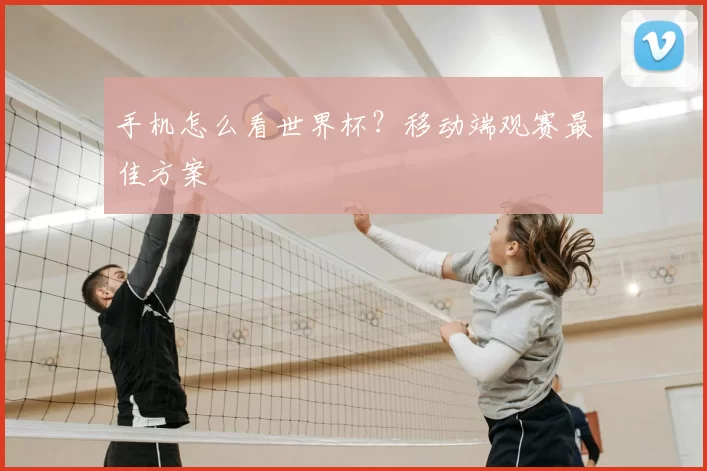 手机怎么看世界杯？移动端观赛最佳方案