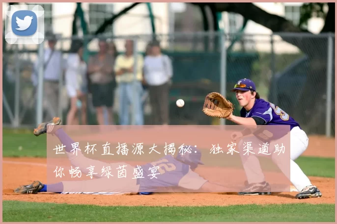 世界杯直播源大揭秘：独家渠道助你畅享绿茵盛宴