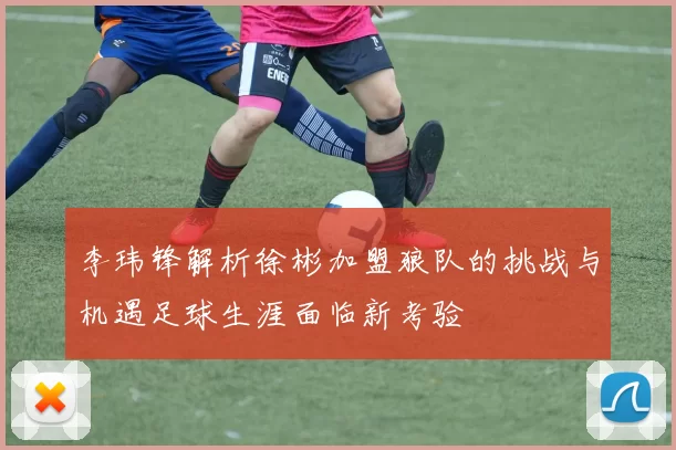 李玮锋解析徐彬加盟狼队的挑战与机遇足球生涯面临新考验