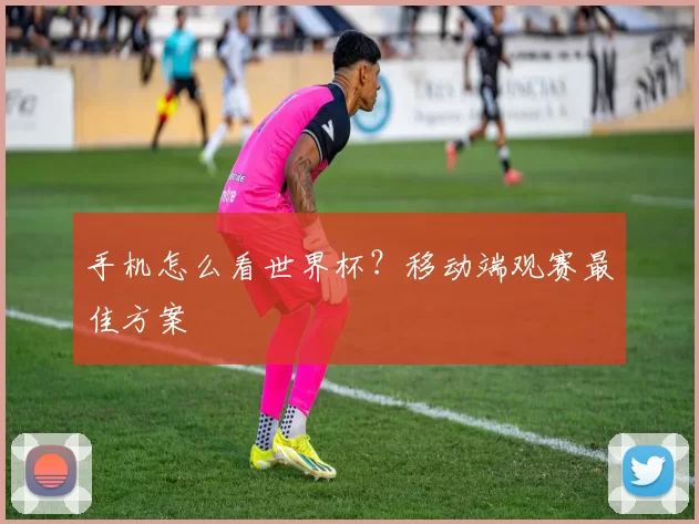 手机怎么看世界杯?移动端观赛最佳方案